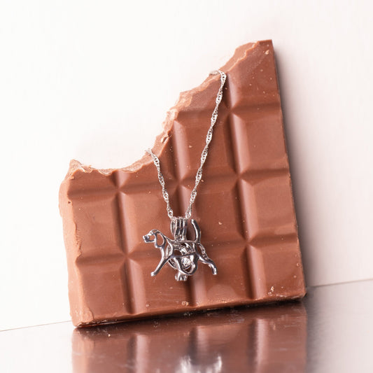 Edició Limitada Sant Jordi Experience Dog - Mon Perle Experience