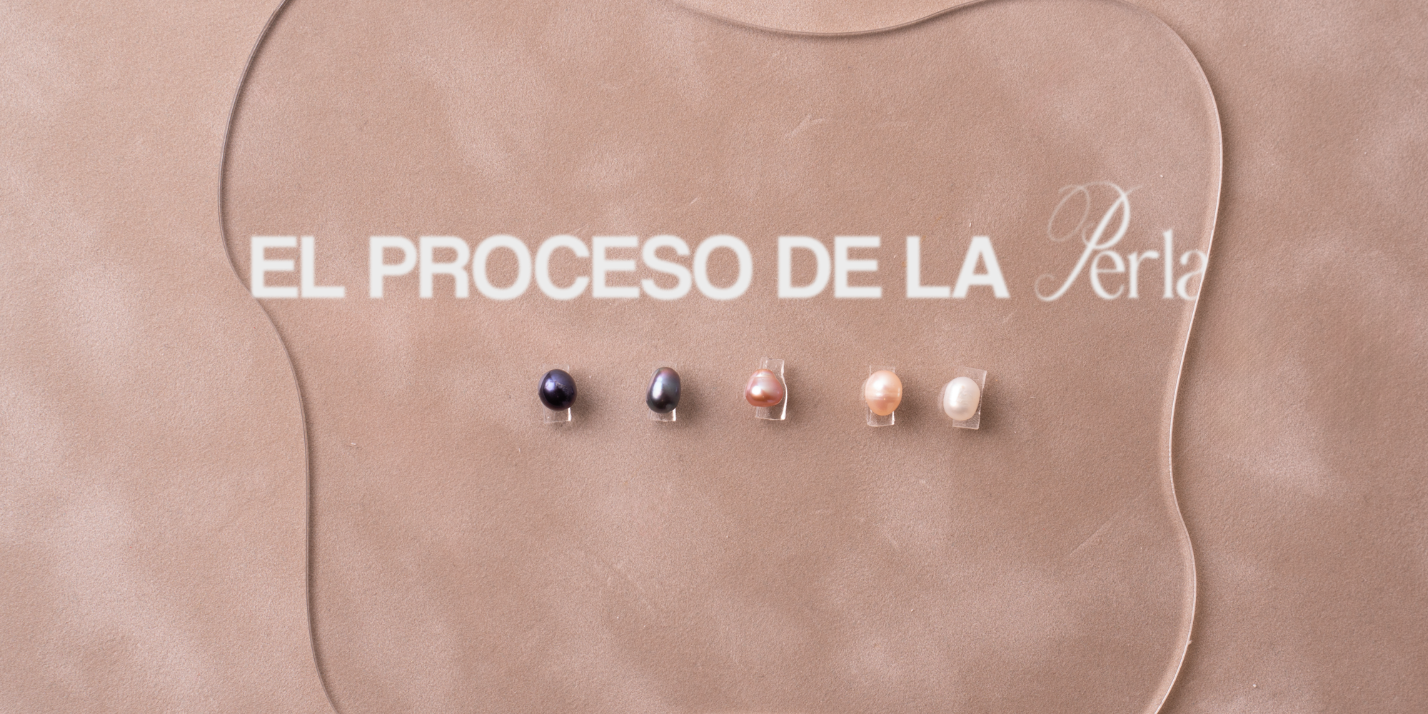 Cómo se forma una perla dentro de una ostra: el proceso completo