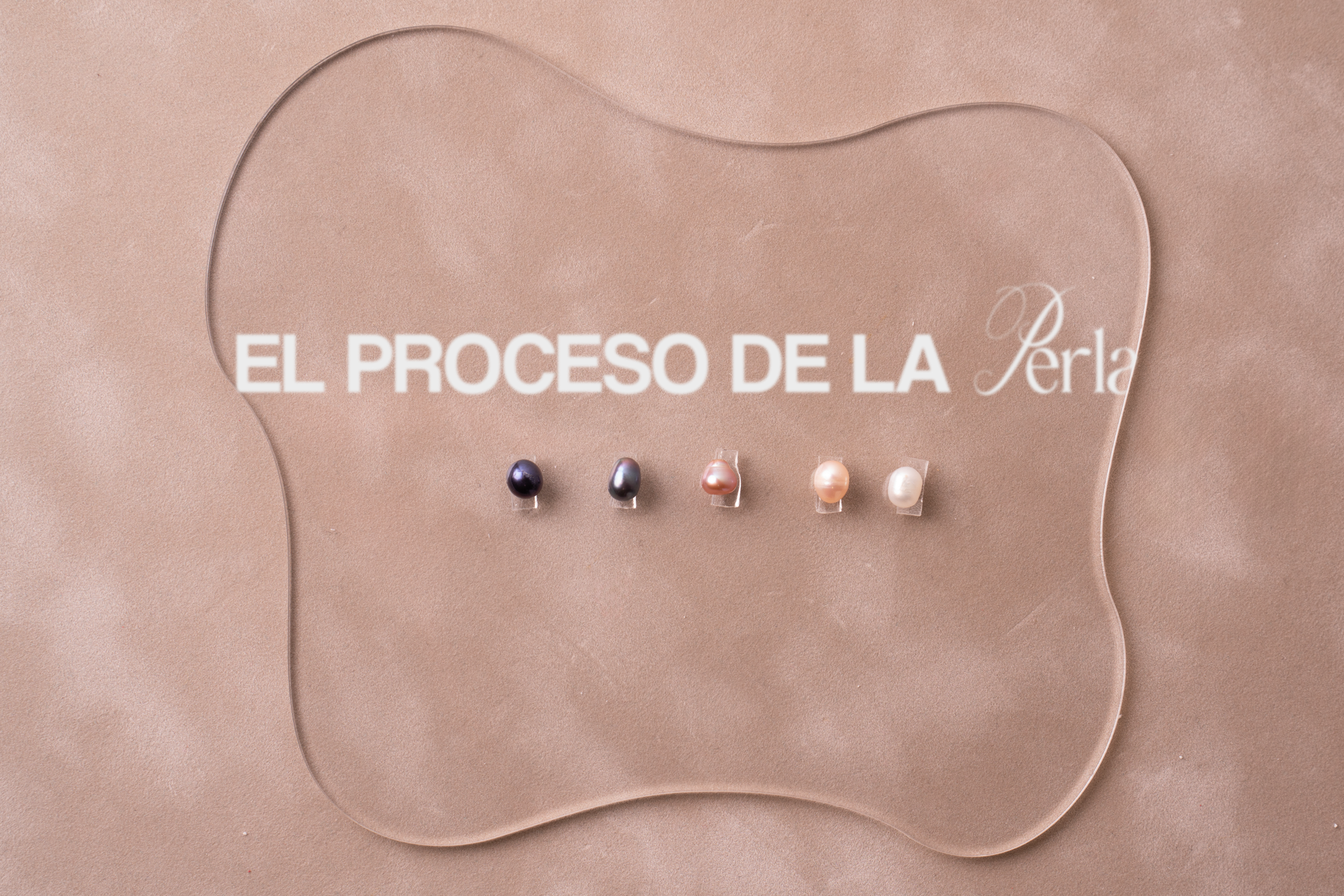 Cómo se forma una perla dentro de una ostra: el proceso completo