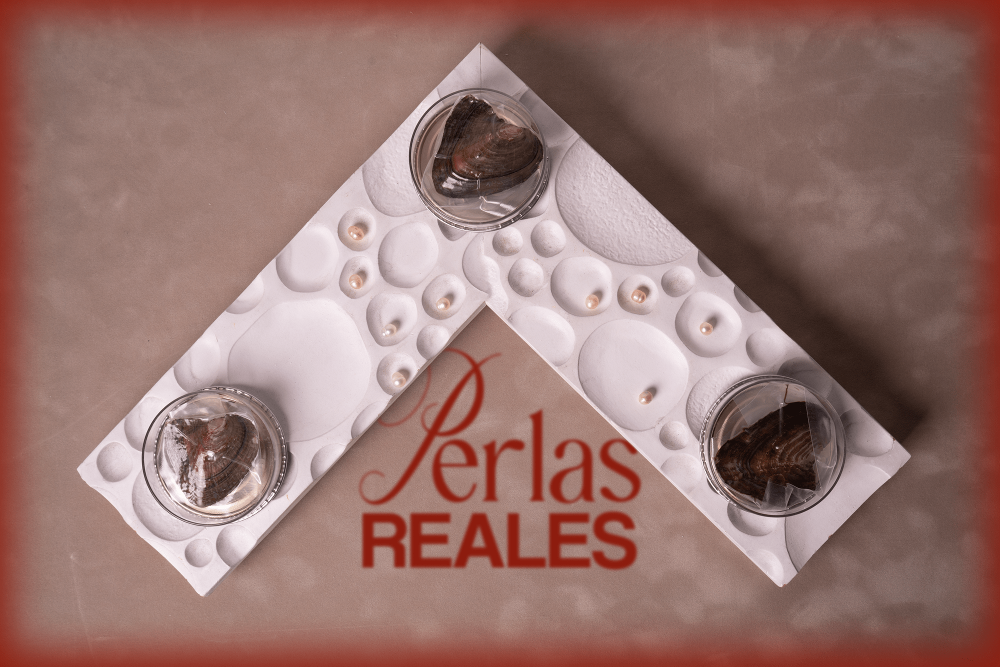 Perla Real: Qué Es, Cómo se Forma y Por Qué Es Tan Valiosa