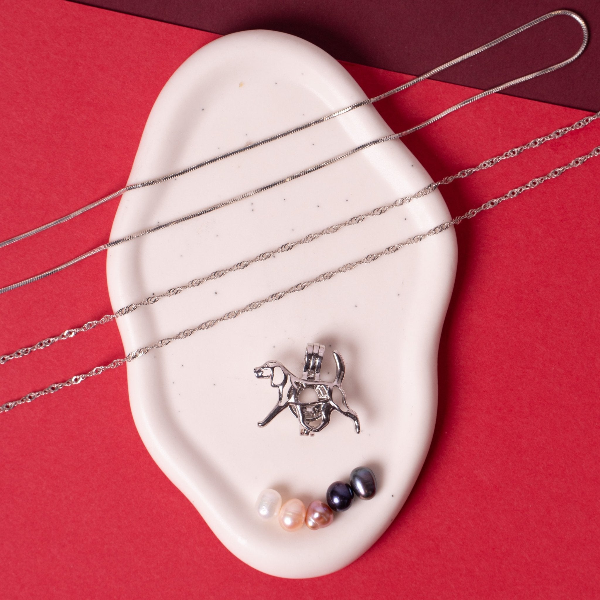 Edició Limitada Sant Jordi Experience Dog - Mon Perle Experience