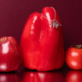 Edició Limitada Sant Jordi Experience Dog - Mon Perle Experience