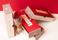 Edició Limitada Sant Jordi Experience Globe - Mon Perle Experience