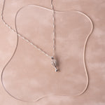 Edició Limitada Sant Jordi Experience Globe - Mon Perle Experience