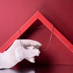 Experience Swan - Mon Perle Experience